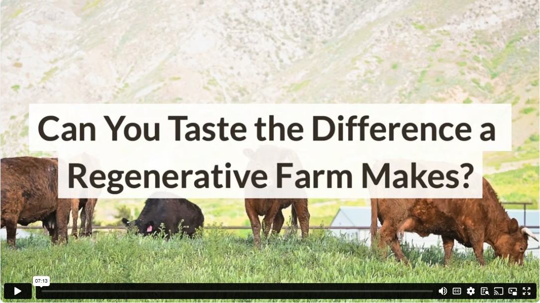 Can You Taste the Difference a Regenerative Farm Makes?