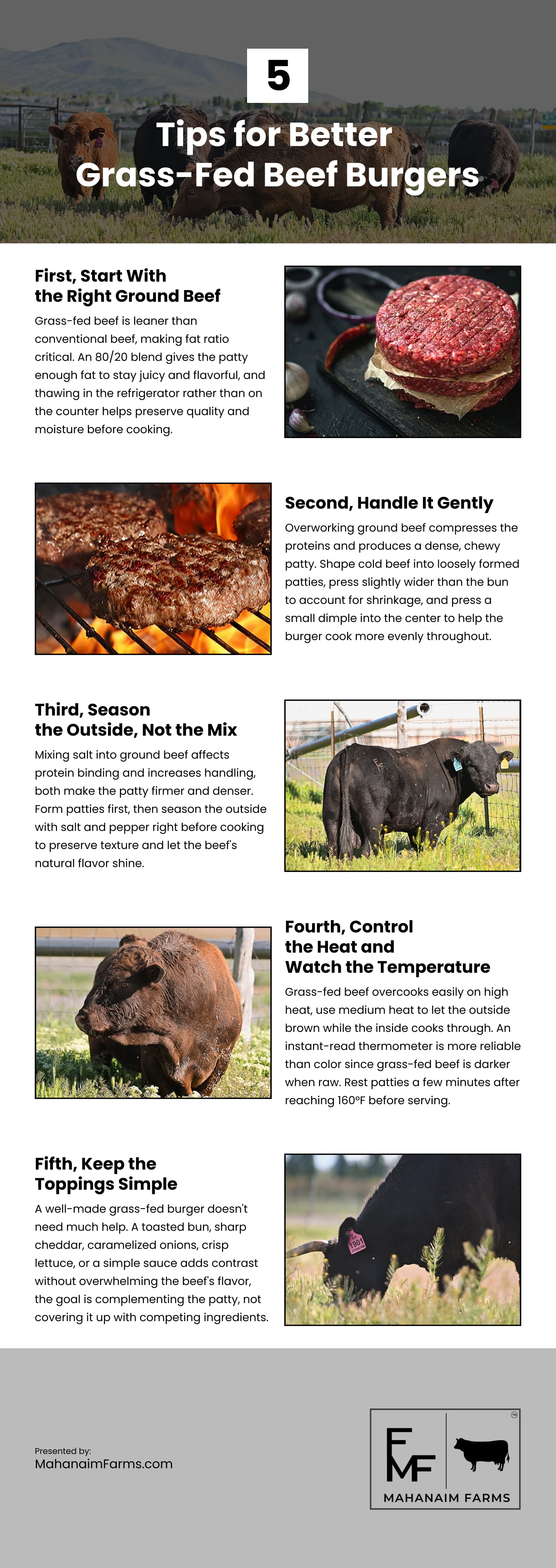 5 Tips for Better Grass-Fed Beef Burgers Infographic