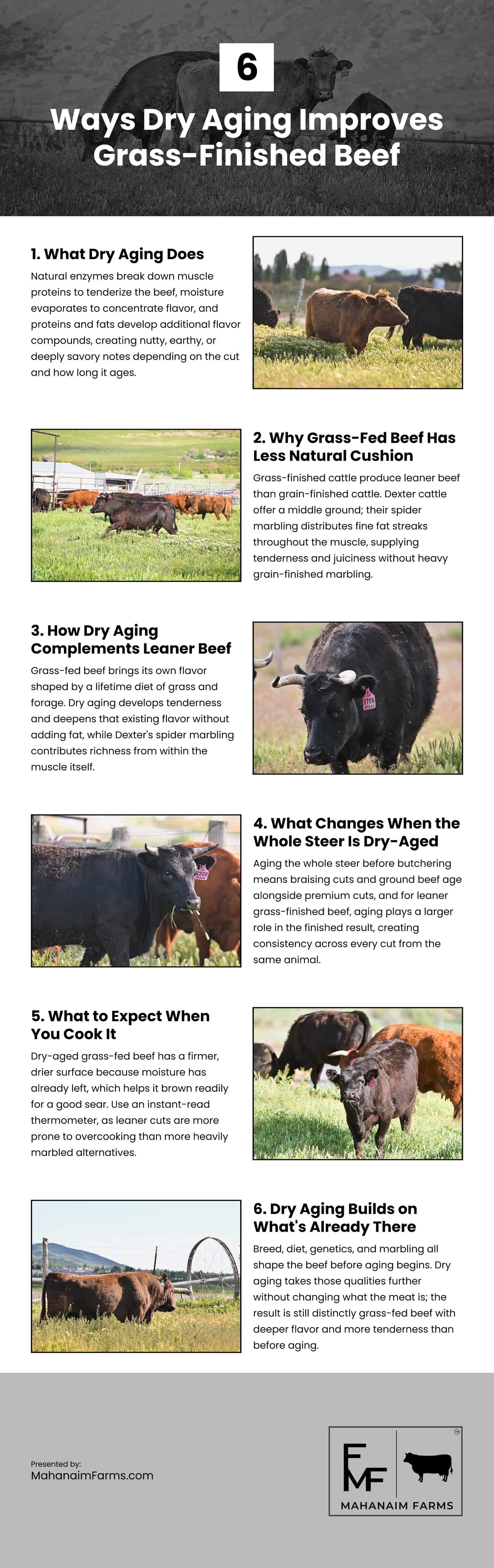 6 Ways Dry Aging Improves Grass-Finished Beef Infographic